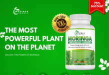 Benefits of Moringa for Energy and Health