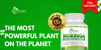 Benefits of Moringa: 10 Science-Backed Ways It Boosts Energy & Health Benefits of Moringa for Energy and Health